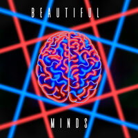 Beautiful Minds