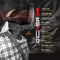 afho - Inside Lagos Bus