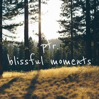 Blissful Moments