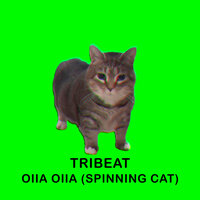 OIIA OIIA (Spinning Cat)