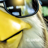 Shut up Chicken - El Capon