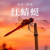 红蜻蜓