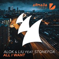 Alok & Liu & Stonefox - All I Want