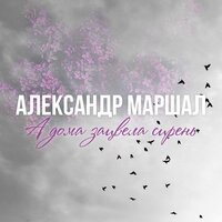 Александр Маршал - А дома зацвела сирень
