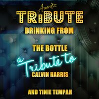 Ameritz Top Tracks - Drinking from the Bottle (A Tribute to Calvin Harris and Tinie Tempah)