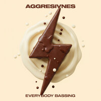 Aggresivnes - Everybody Bassing