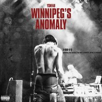 Winnipegs Anomaly, 2020