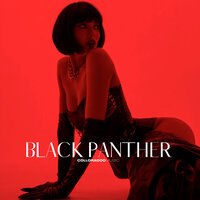 Black Panther - Colloradoo