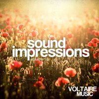 Sound Impressions, Vol. 14, 2014