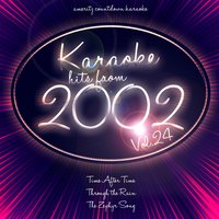 Karaoke Hits from 2002, Vol. 24