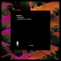 Subsonic & Aleya Mae - Side2Side