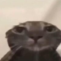 Kenya Grace Strangers - Sped Up