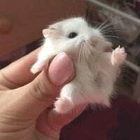 Ozyro - Don't Let Me Get Me