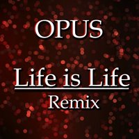 Opus & Julian B. - Life Is Life