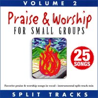 Praise & Worship for Small Groups (Whole Hearted Worship), Vol. 2