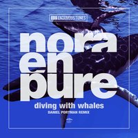 Diving with Whales