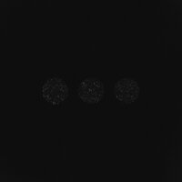 TRITIA & Loc-Dog - Не тебя