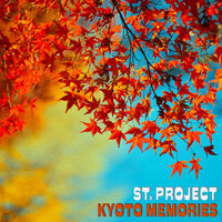 St. Project