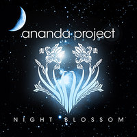 Ananda Project