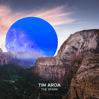 Tim Aroa