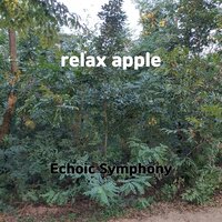 Echoic Symphony