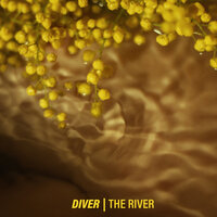 Diver