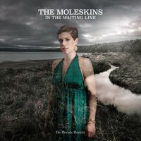 The Moleskins