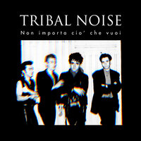Tribal Noise
