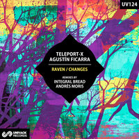 Teleport-X