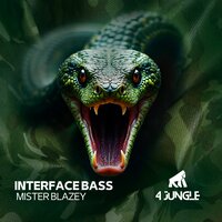 Interface Bass