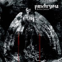Panchrysia
