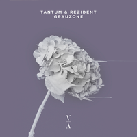 Tantum