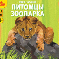 Виктория Фатеева