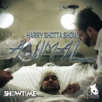 Harry Shotta Show