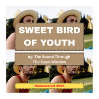 The Sound Through The Open Window