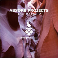 Absorb Projects