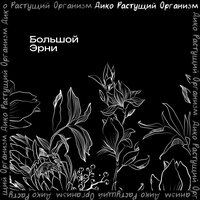 Большой Эрни