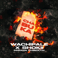 Shokii mwana CHIBOLYA