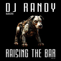 DJ Randy