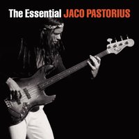 Jaco Pastorius