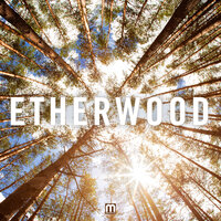 Etherwood