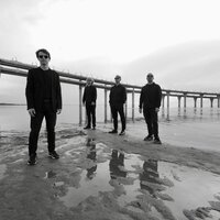 Плейлист Венкова