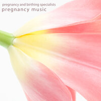 Pregnancy and Birthing Specialists