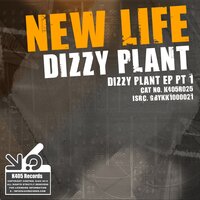 Dizzy Plant