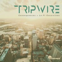 Tripwire