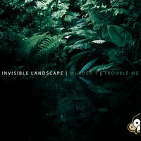 Invisible Landscape