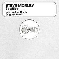 Steve Morley