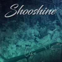 Shooshine