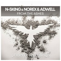 Norex & Adwell