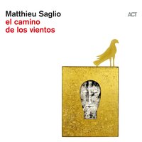 Matthieu Saglio